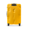 Crash Baggage Stripe Luggage