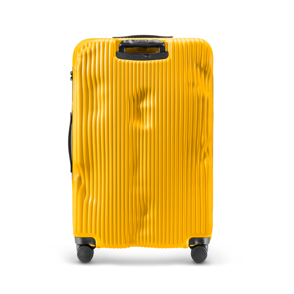 Crash Baggage Stripe Luggage