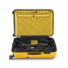 Crash Baggage Stripe Luggage