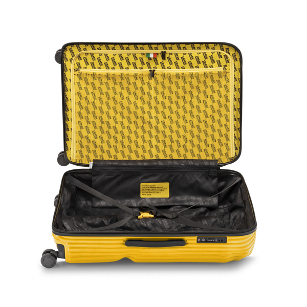 Crash Baggage Stripe Luggage