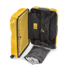 Crash Baggage Stripe Luggage