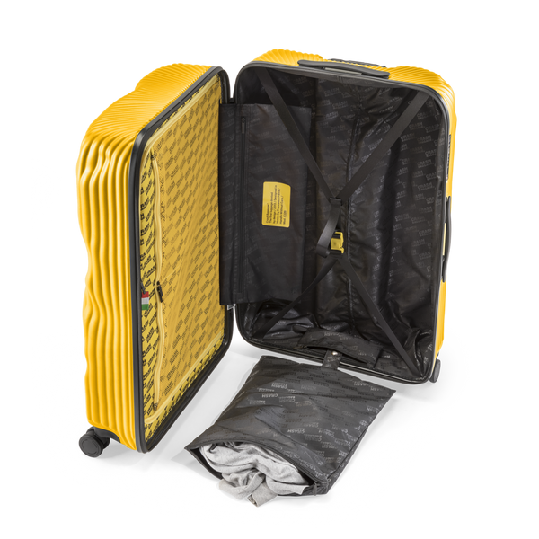 Crash Baggage Stripe Luggage