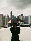 UTC x Knirps U.200 Limited Edition Collaboration Umbrella