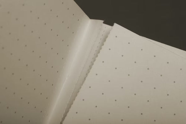 Fieldnotes Notebooks Field Notes Kraft Plus 2-Packs