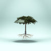 Knirps Umbrella Knirps Vision Duomatic